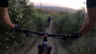 Mt. Wilson's Horse Trail Ride