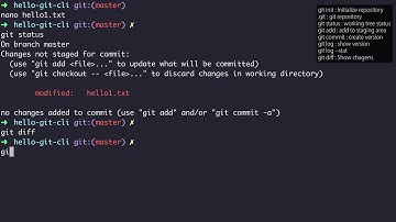 GIT2 - CLI 버전관리 - 6. 버전간의 차이점 비교