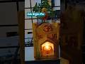 guru pournami day #shorts #ytshorts
