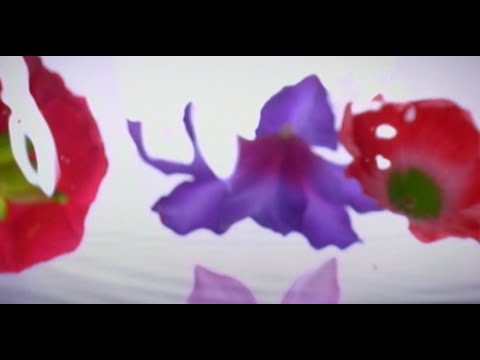 Garnet Crow — GARNET CROW「花は咲いて ただ揺れて」