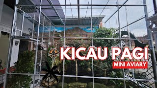 LIVE #12 MINI AVIARY DULUR NGALAS