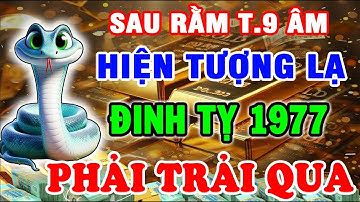 Sau Rằm Tháng 9 Âm: Đinh Tỵ 1977 NGHĨ XUI MÀ HÓA MAY, LỘC TỚI TẤP MẶT! Tiết Lộ CƠ HỘI GIÀU CẢ ĐỜI