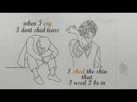 Longshot + Lazerbeak 'Healing Is Hard' ft. Taylor Ray (Lyric Video)