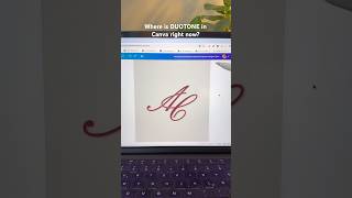Where is DUOTONE effect in Canva now?