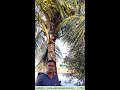 Our Online Coconut Farmer Mr. Manjunath shares His Experience!