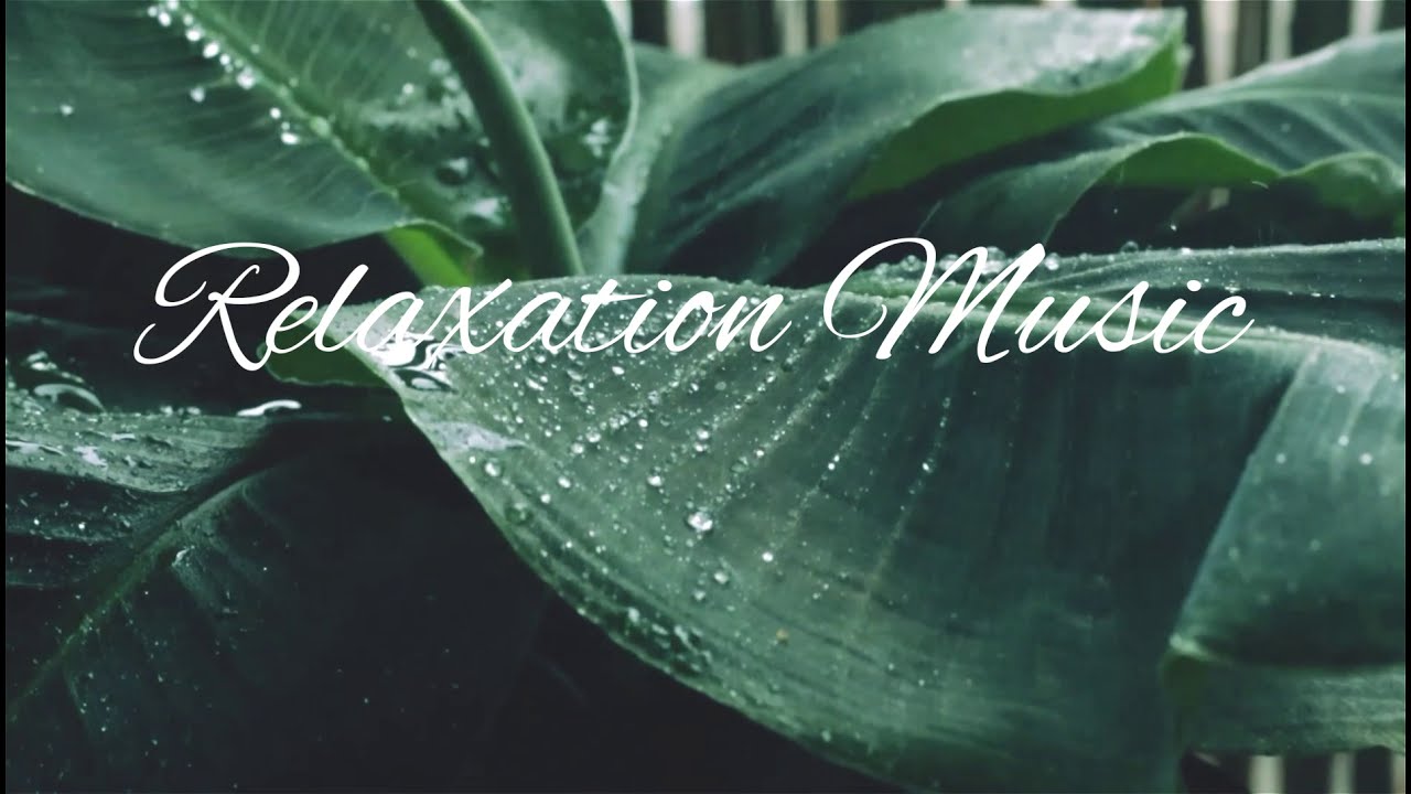 The Relax channel YouTube