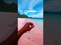 Pink Beach Indonesia 🇮🇩 | Komodo Island Travel Guide Dragons Paradise Nature Tour