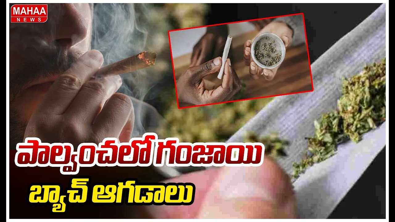 పాల్వంచలో గంజాయి బ్యాచ్ ఆగడాలు |The atrocities of the ganja gang in Palvancha | Mahaa News
