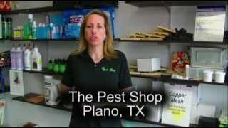 Pest Shop in Plano, TX discusses how to determine if you have termites
