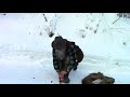 Middle of video