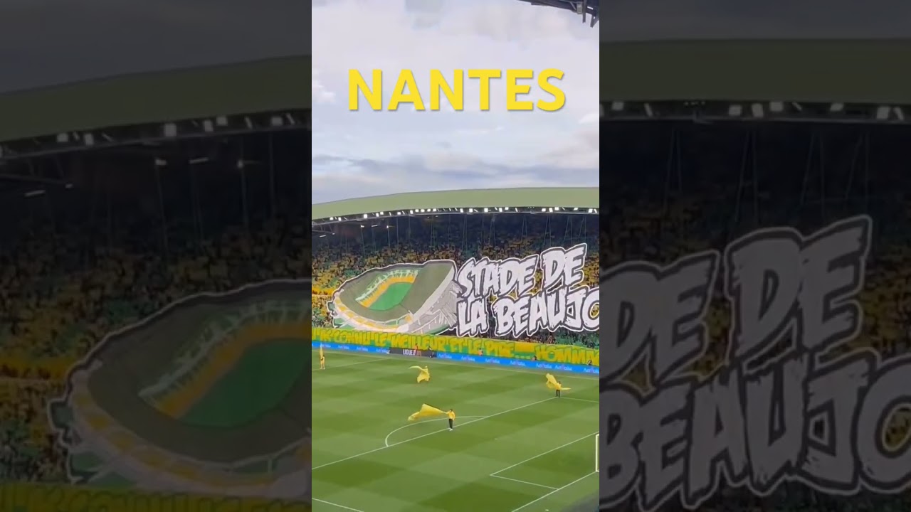 Nantes fans 🇫🇷                                         