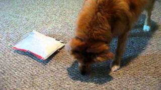 MVI_5293.AVI