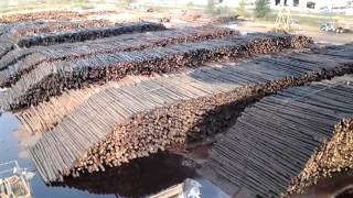 Swanson springfield Oregon, log deck