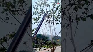 Does anyone know what this is