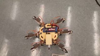 HExBOT Demo