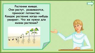 Как живут растения?