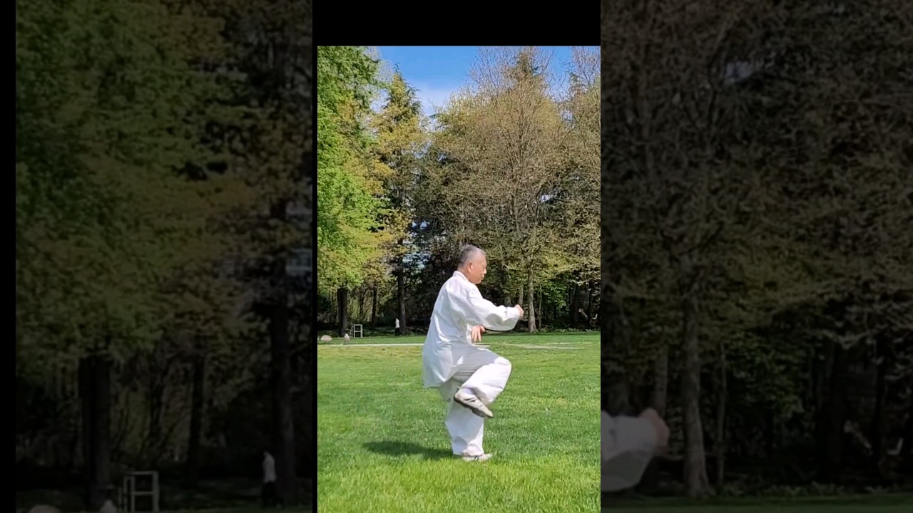 Watch Chen style tai chi on YouTube Watch Chen style tai chi on YouTube
