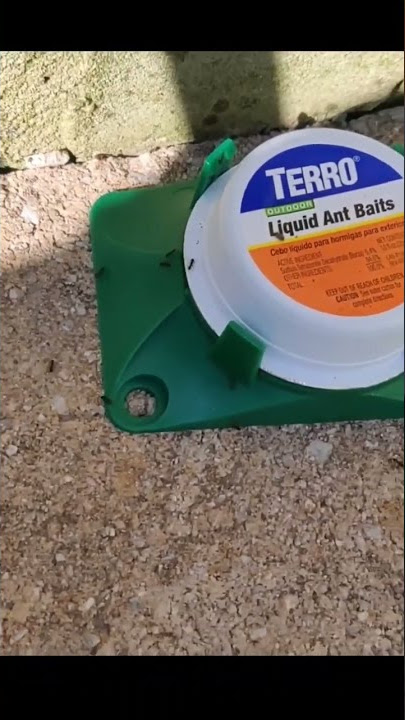 TERRO Outdoor Liquid Ant Baits - SUPER EFFECTIVE