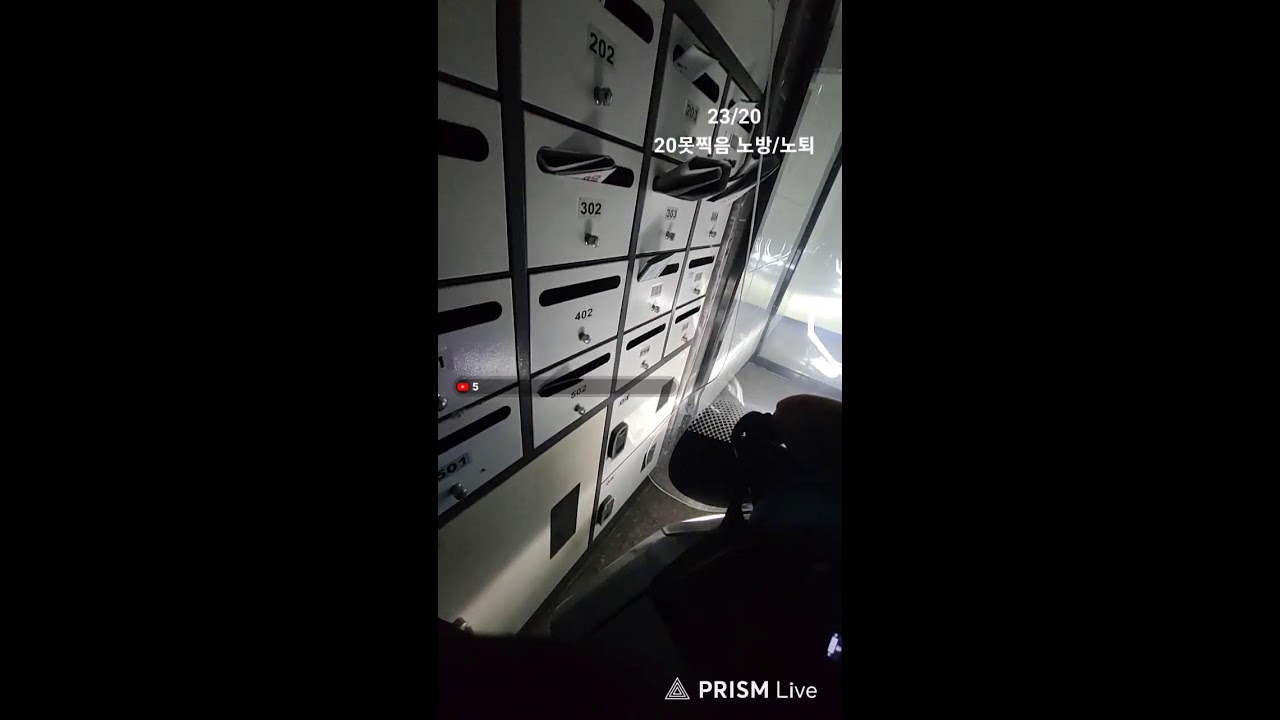 2026/ 3/ 11 일요일