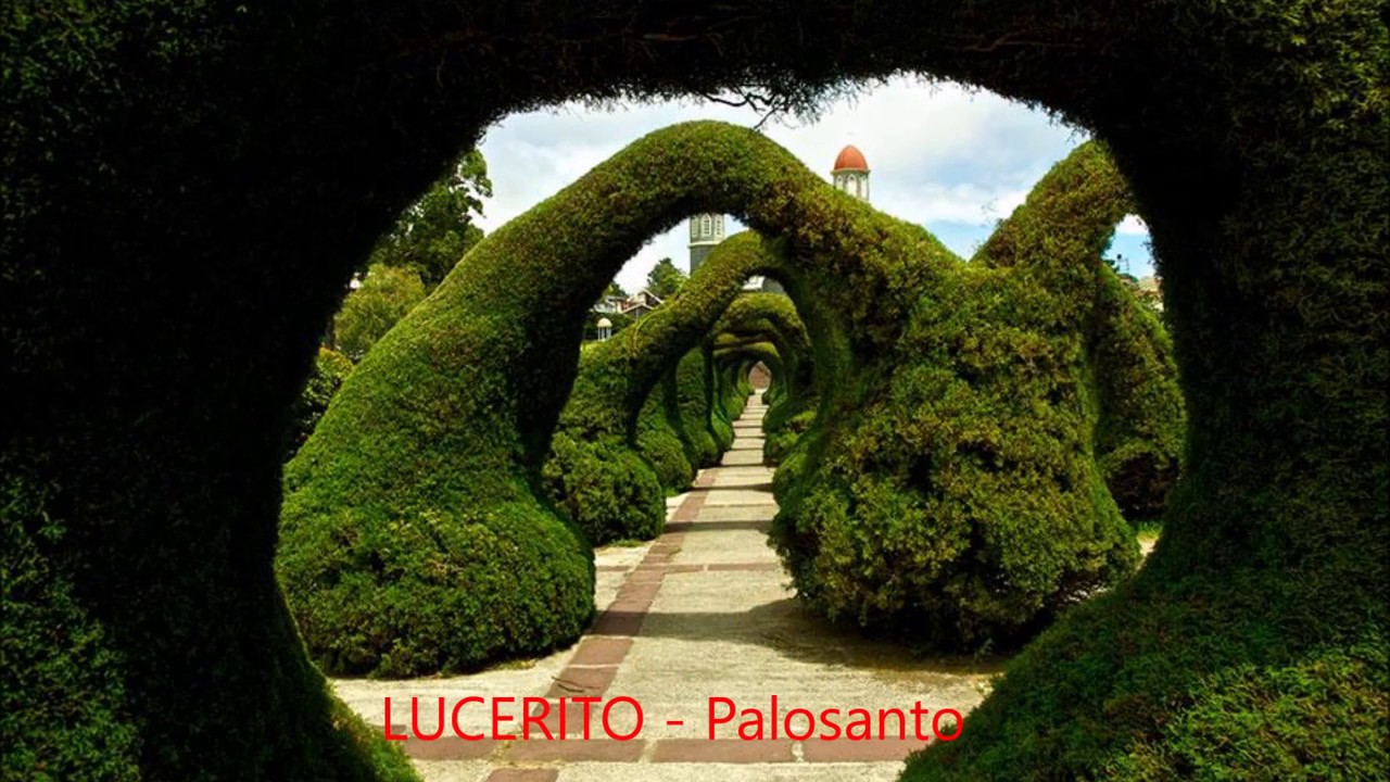 Смотреть «LUCERITO Palosanto» на YouTube Смотреть «LUCERITO Palosanto» на YouTube