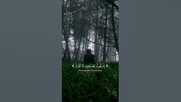 سورة التوبة | لا تحزن ان الله معنا | بصوت للقارئ عبدالرحمن مسعد | قران كريم | تلاوة خاشعة