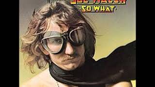 Watch Joe Walsh Falling Down video