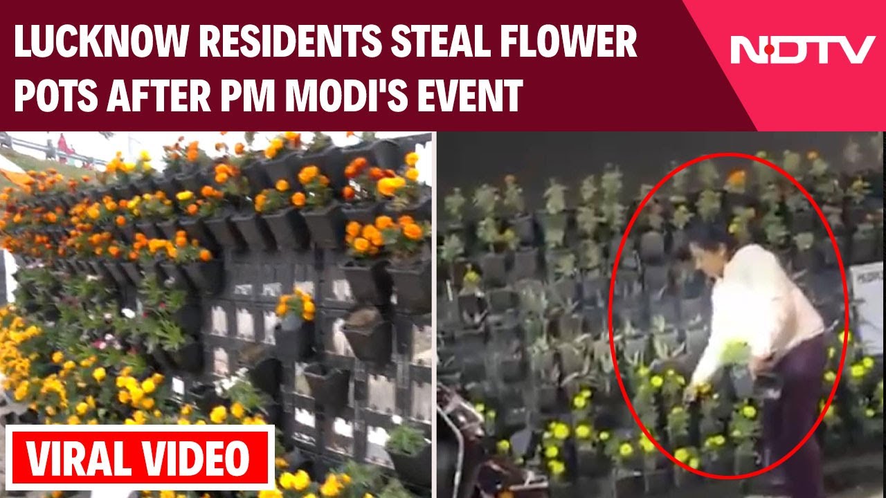 Lucknow Residents Steal Flower Pots Placed On Roadside For PM Modi's Event