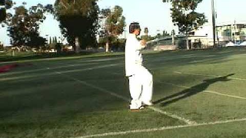 Chen Style Introductory Form Part 2