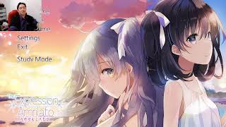 [ID/EN/JP/EO] Learn Esperanto Again! The Expression Amrilato Playthrough Part 2