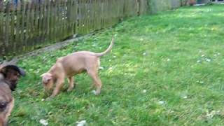 MVI_7430.AVI