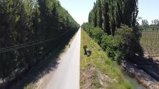 Ruta 11 Allen-Río Negro