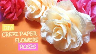 DIY: Crepe Paper Flowers - Roses