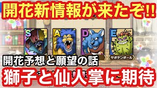 【ドラクエタクト】開花新情報が来た！アームライオンとサボテンボールが楽しみ過ぎる！！