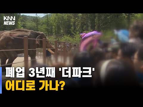 동물원&amp;#39;<strong>더파크</strong>&amp;#39; 폐업 1000일째, 출구 전략은?