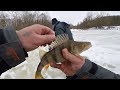 Рыбалка в Лебедине река Псёл.Ловля окуня зимой на мормышку.Повим рыбу возле дамбы.#Рыбалка