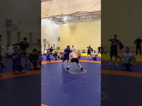 #хамзатчимаев с Садулаевом борется #хамзат_чимаев #бои #юфс #ufc #mma #khamzatchimaev #чечня