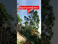 respect yourself #viral #trending