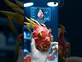 How Dragon Fruit is Processed in a High-Tech Factory #factory #factoryproducts #productionfacility