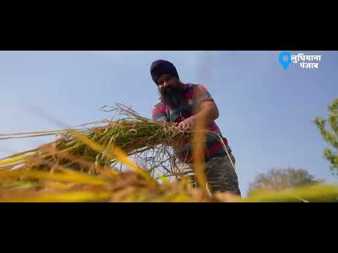 12 JAN 24 ELECTRICITY 16 MINS HD