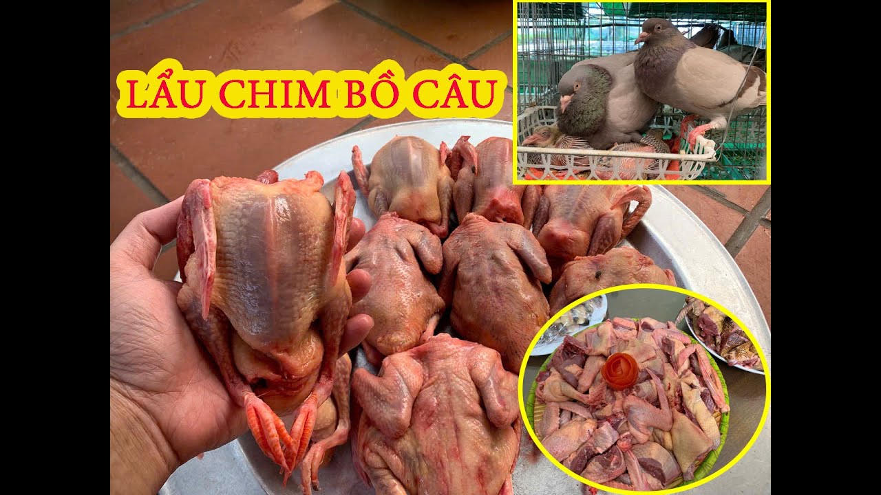 Горячий горшок с голубем «Титан»: семейный пир выходного дня