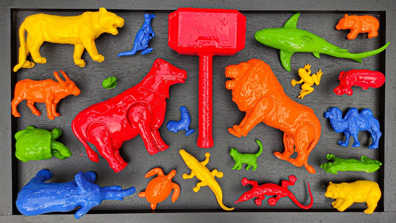 Membersihkan hewan sapi, bebek, angsa, ayam, gajah, simpanse, singa, unta, buaya, kangguru