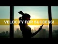1. BitLocity Spanish Intro Video
