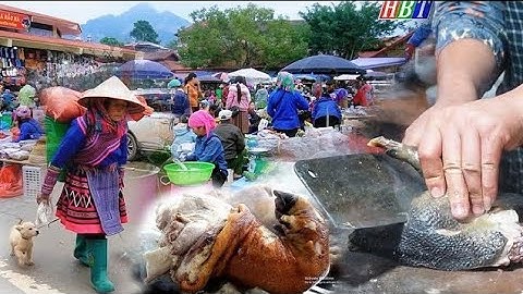 MÓN NGON KHÓ CƯỠNG - ẨM THỰC BẮC HÀ - LỢN CẮP NÁCH , CHÓ H’MÔNG CỘC , THẢO DƯỢC RỪNG HIẾM GẶP