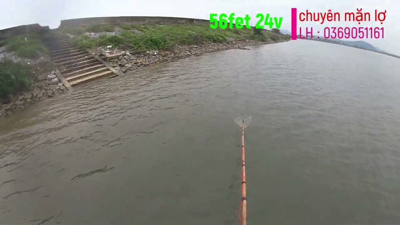 TÉT CON MÁY 56FET CHO BÁC KHÁCH NAM ĐỊNH.