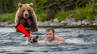 Mama Bear Pleads To Man To Save Her Drowning Cubs, Then He Did Something Unbelievable