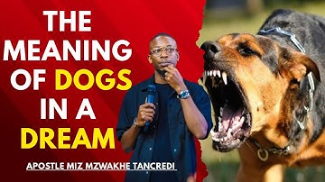 The Meaning Of Dogs In A Dream - APOSTLE MIZ MZWAKHE TANCREDI