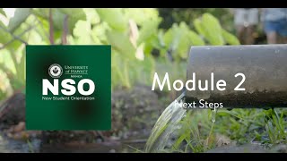 Module 2: Next Steps