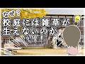【応用しよう】校庭に雑草が生えない秘密!