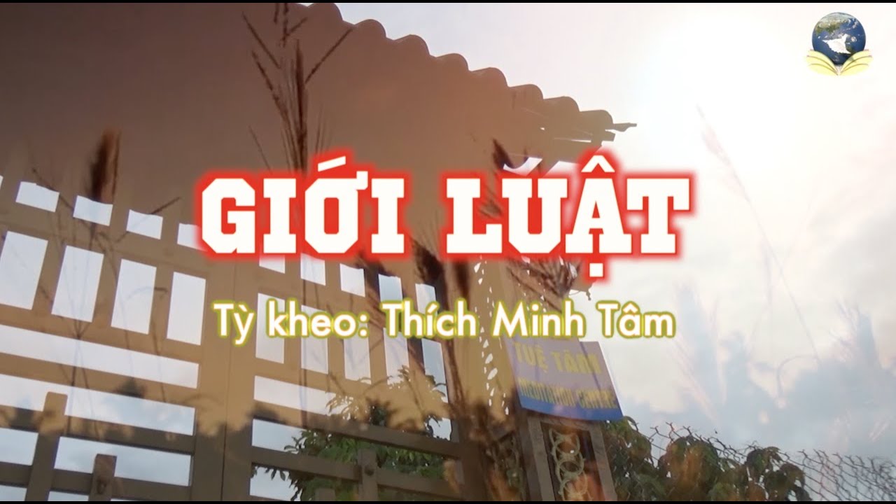 YouTube player