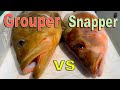 Snapper vs Grouper {Catch Clean Cook} Cooking on remote Island beach